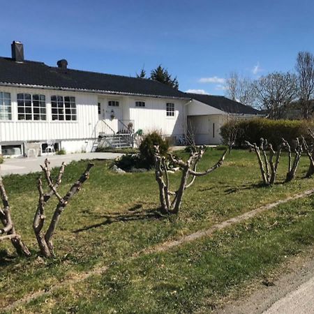 Cozy & Private Room In The Middle Of Lofoten 레크네스 외부 사진