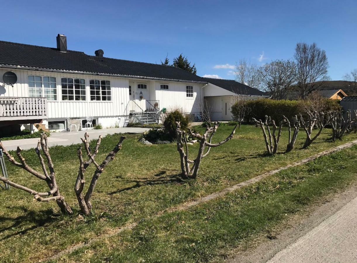 Cozy & Private Room In The Middle Of Lofoten 레크네스 외부 사진